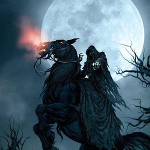 Meet your Posher, Rene